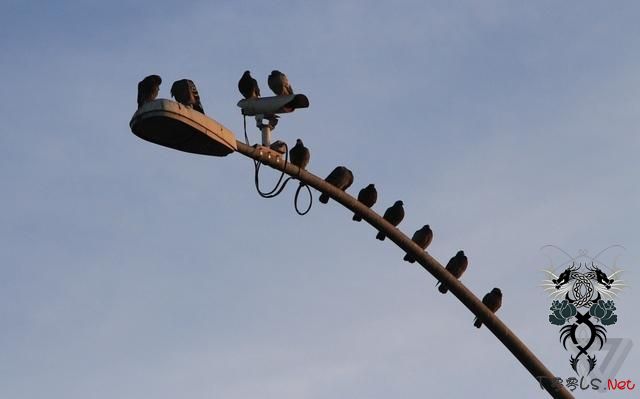 WSJ：FBI可远程激活Android及笔记本麦克风实现监听