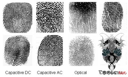 黑客组织称可从照片复制指纹
