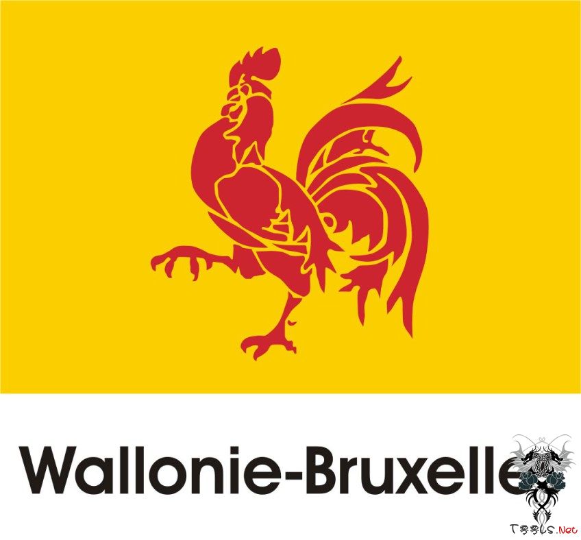 比利时：瓦隆大区政府网站遭黑客攻击