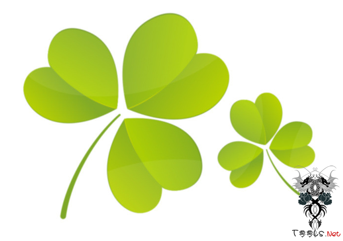 揭秘成都高校神秘“三叶草小组” 系黑客组织