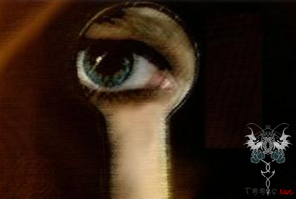 俄国20家机构遭网络攻击 或系间谍活动恶意软件