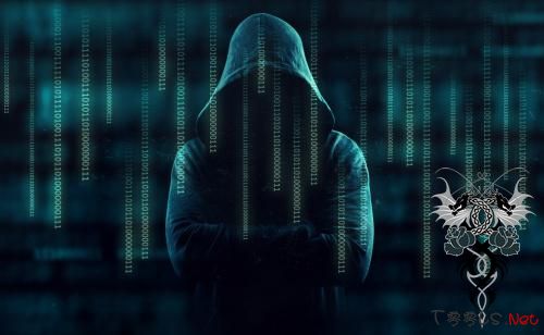 美国选举网站遭入侵 情报人员怀疑是战斗民族干的