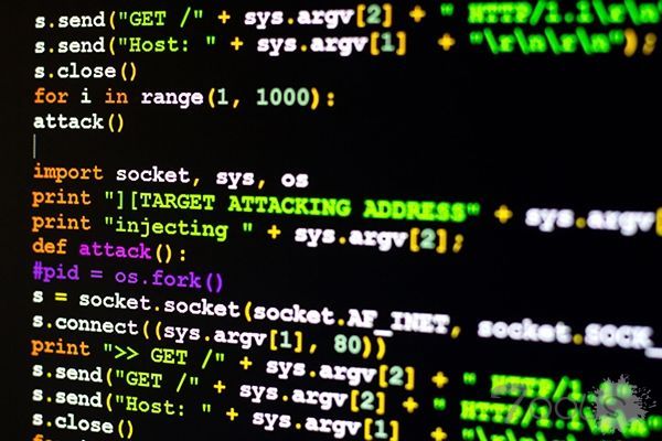 两著名“赏金黑客”落网，被禁用网络并面临监禁