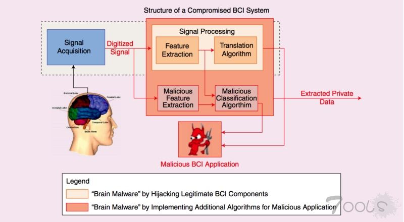 未来我们的大脑可能成为黑客攻击的目标