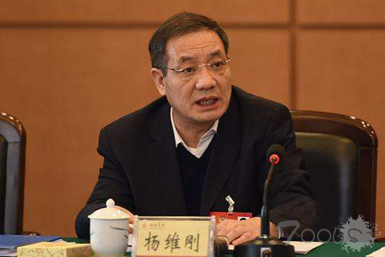 杨维刚委员建议：筑牢公民个人信息安全的法治基石