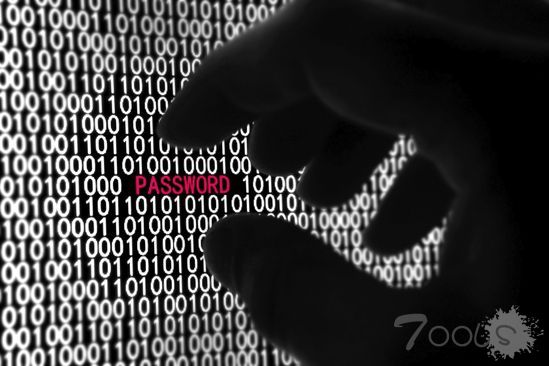 台媒称朝鲜黑客袭击台金融机构 台官方：未接报案