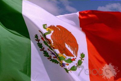 墨西哥央行证实金融机构支付系统遭黑客攻击 已展开调查