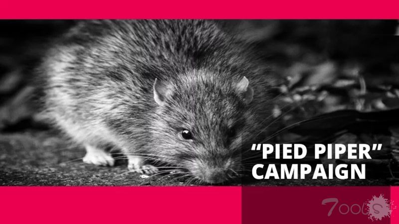 疑似黑客组织TA505再出手，在新的活动中传播多种远控木马