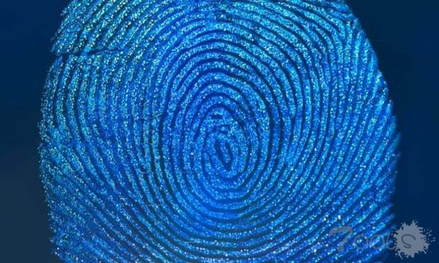 智能门锁还安全吗？ 黑客用假手破解静脉识