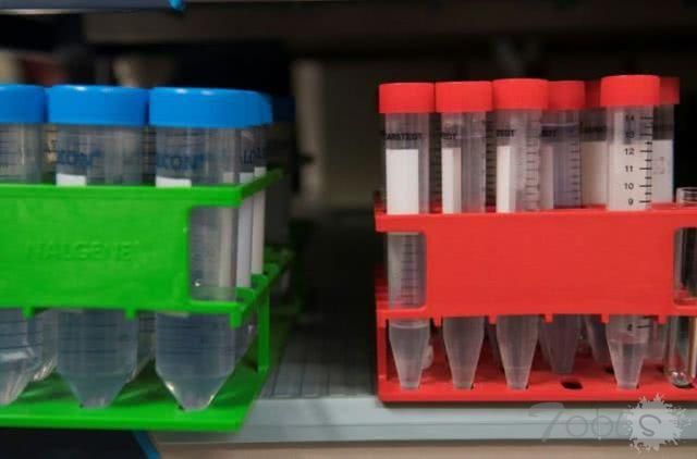 化验室遭黑客入侵,加拿大近半人口健康检测数据或已泄露