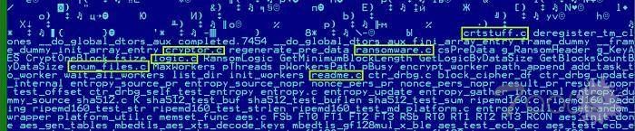 卡巴斯基曝光针对 Linux 平台的 RansonEXX 勒索软件