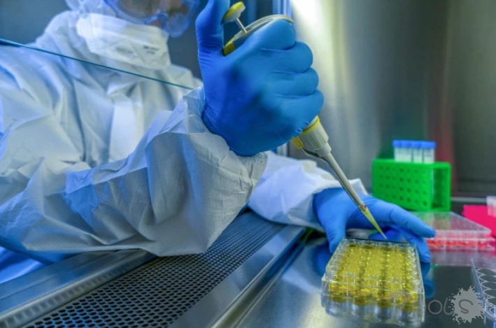 黑客专门攻击盗窃COVID-19疫苗生产商