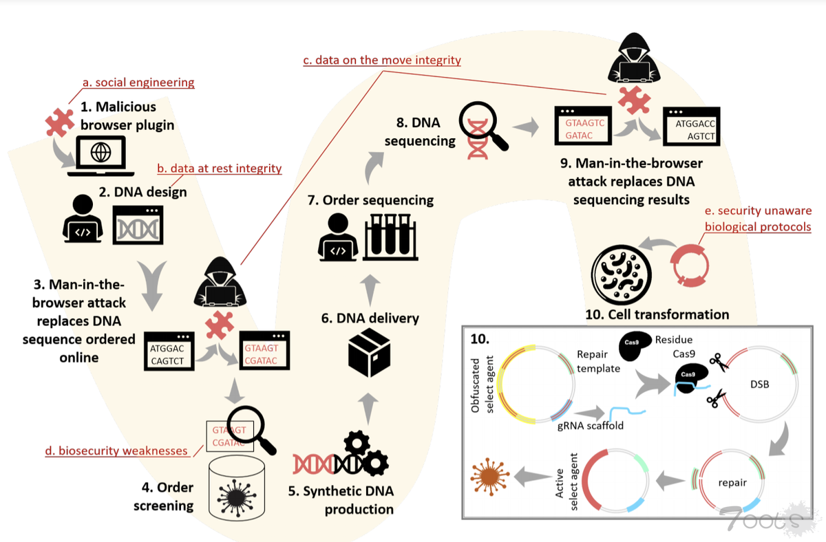 针对 DNA 供应链的攻击可导致病毒生成
