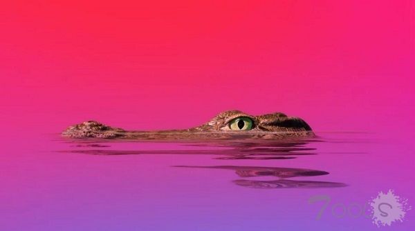 2021年最危险的七大攻击技术