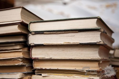 网络安全知识之文件共享技术的风险