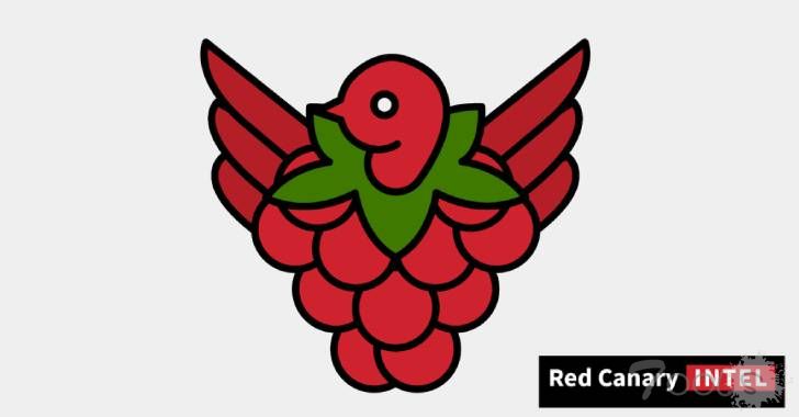 微软已在数百个网络中发现 Raspberry Robin 蠕虫