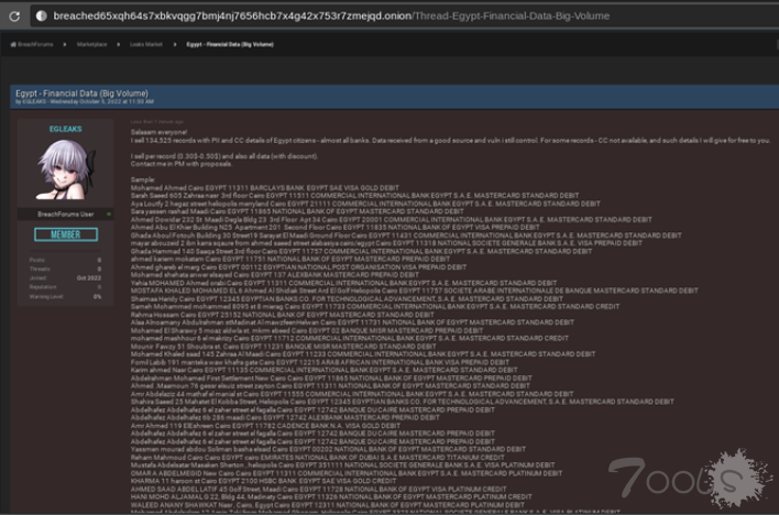 “埃及泄密”——黑客活动家正在泄露财务数据