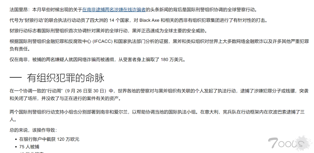 国际刑警组织逮捕“黑斧”网络犯罪集团成员